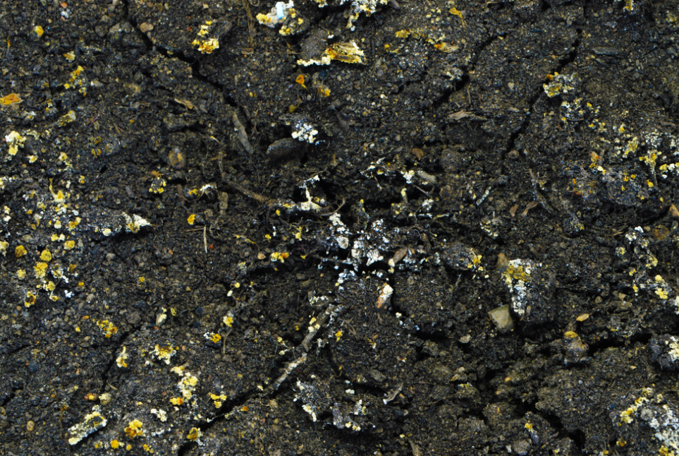 Main causes of Soil Pollution